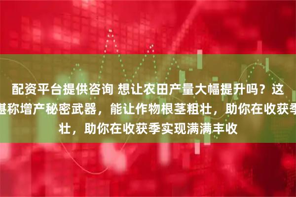 配资平台提供咨询 想让农田产量大幅提升吗？这款根茎膨大素堪称增产秘密武器，能让作物根茎粗壮，助你在收获季实现满满丰收